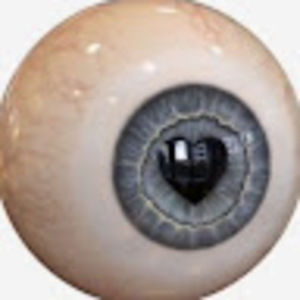 Meet your Posher, Cheyenne